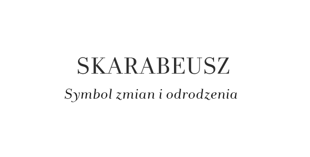 Baner kategorii - nagłówek